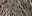 IMG Blog Linearity bias