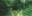 EP88 IMG