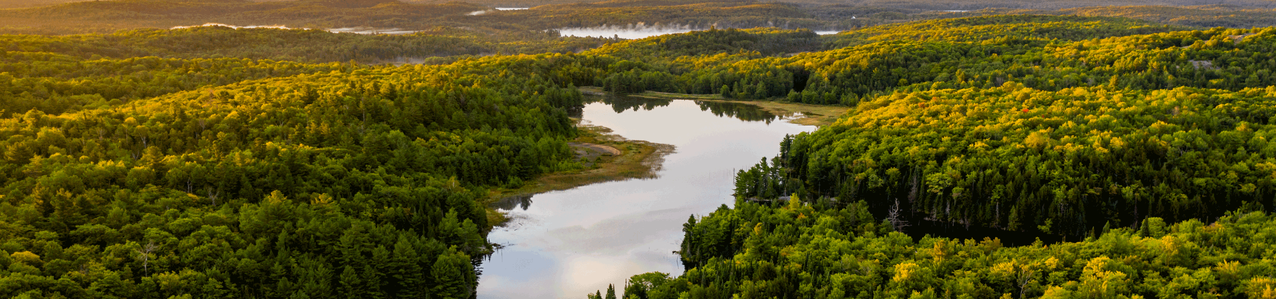 Responsible Investing | Our Approach | Mawer Canada